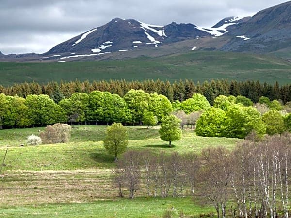 Auvergne-Rhône-Alpes